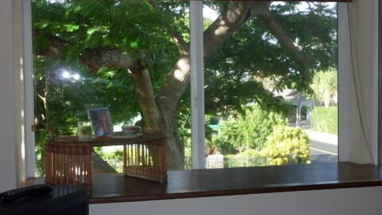 Photo of Others in Kihei