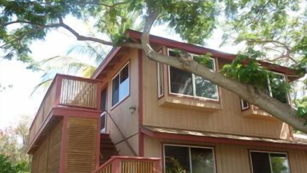 Photo of Others in Kihei
