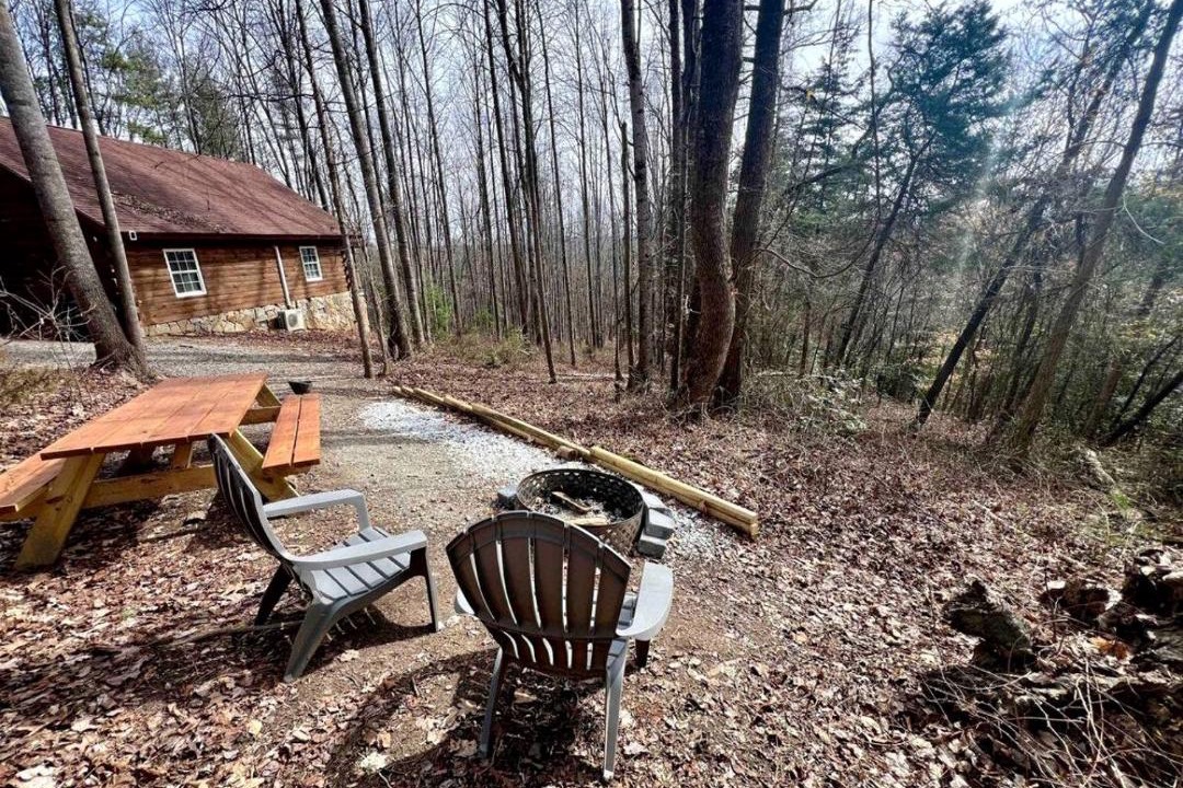 Photo of Others in Traphill