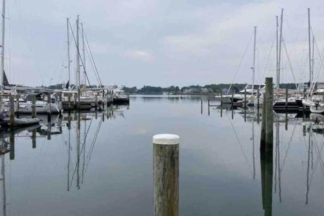 Photo of Others in West Mystic