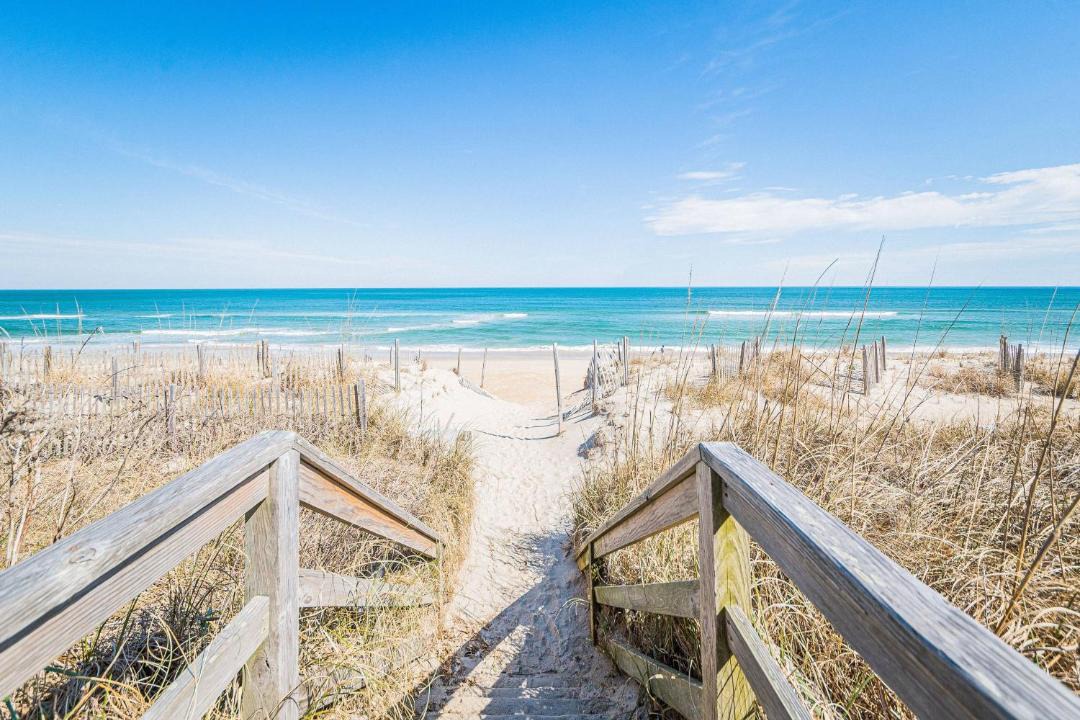 Photo of Others in Carolina Dunes