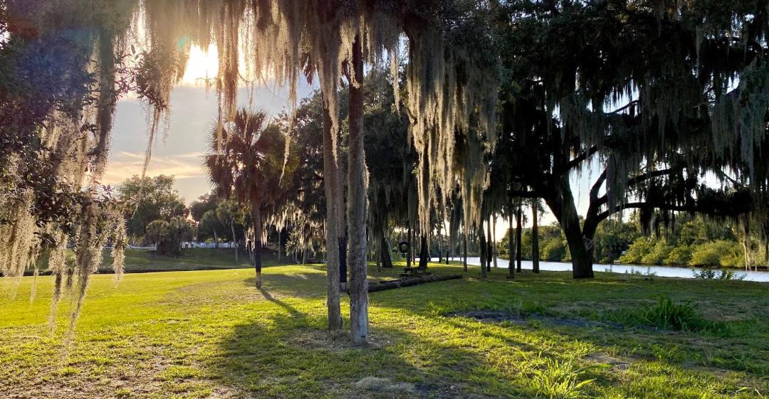 Photo of Others in Braden River