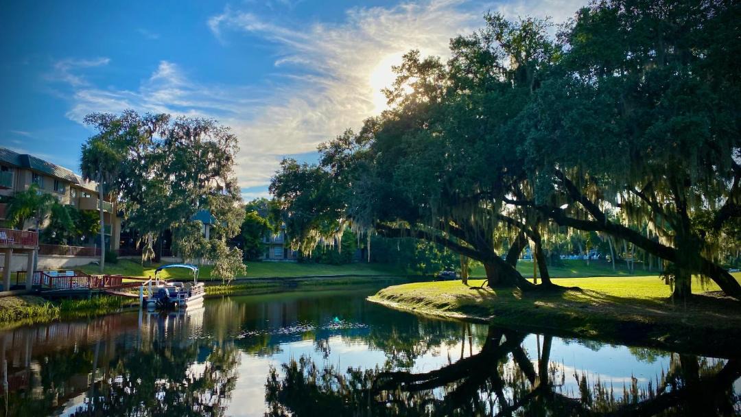 Photo of Others in Braden River
