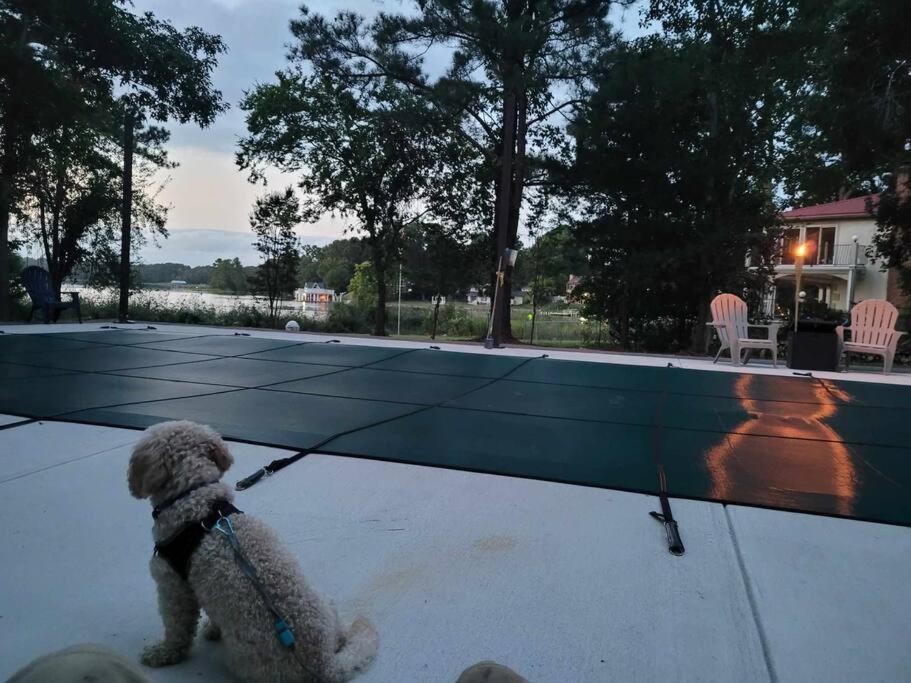 Photo of Others in North Newport News