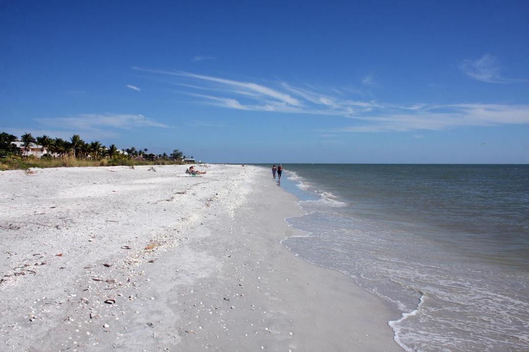 Photo of Others in Sanibel