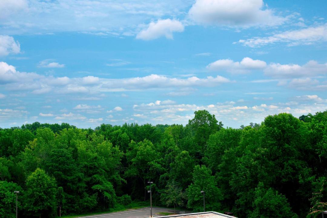Photo of Others in Paw Creek