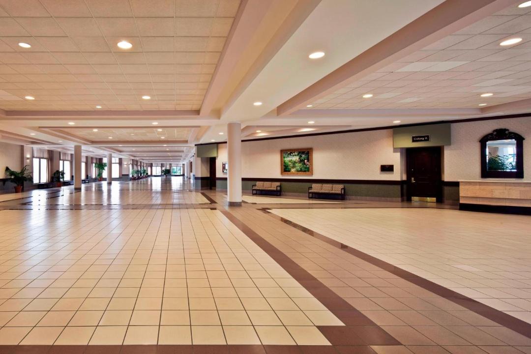 Photo of Others in Greensboro