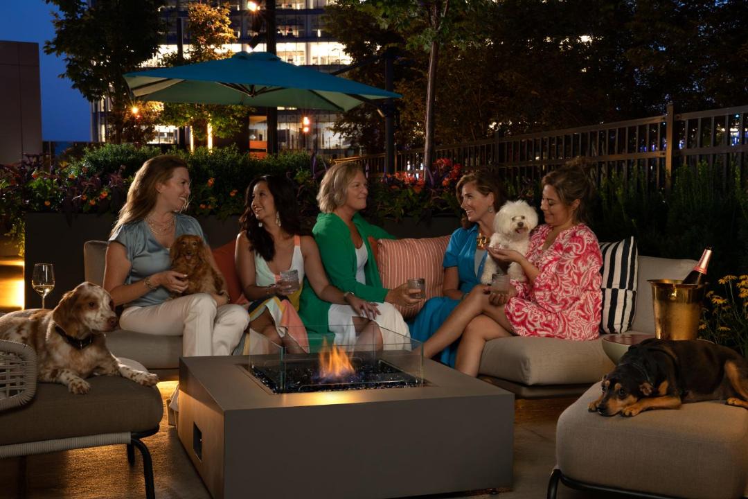 Photo of Others in McLean