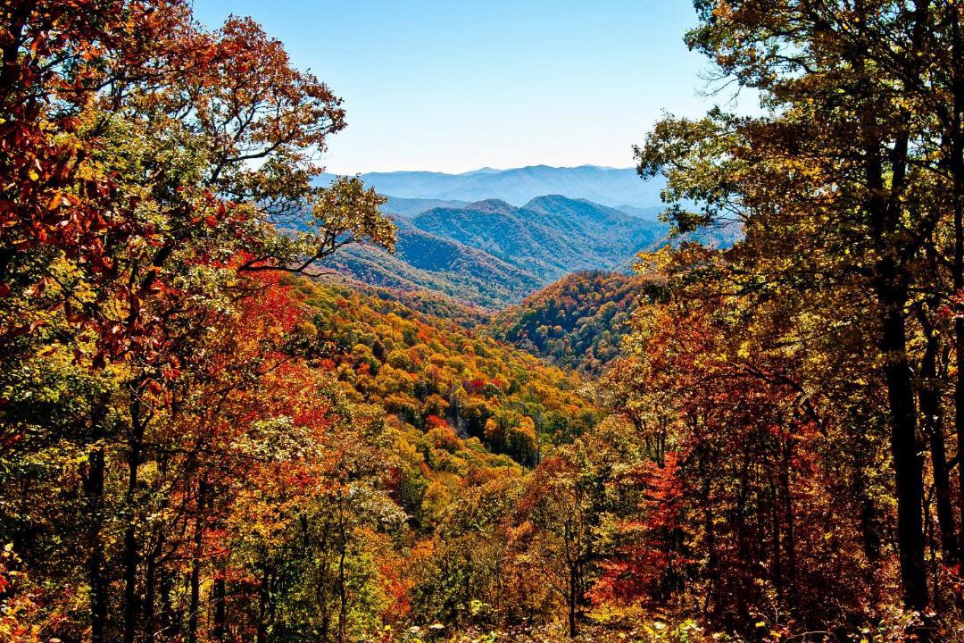 Photo of Others in Gatlinburg