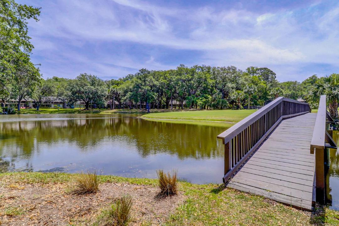 Photo of Others in Sea Pines