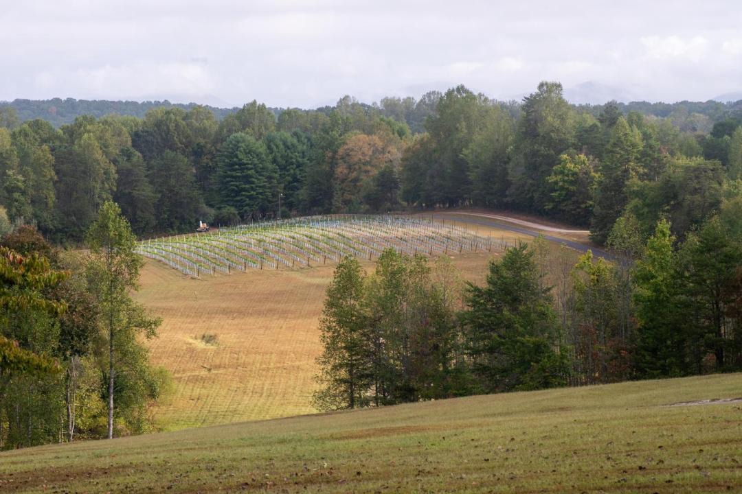 Photo of Others in Dahlonega