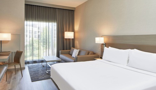 Room, 1 King Bed with Sofa bed, Hearing Accessible