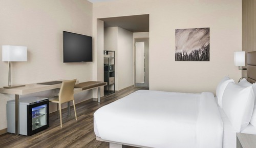 Room, 1 King Bed, Roll-in Shower, City View