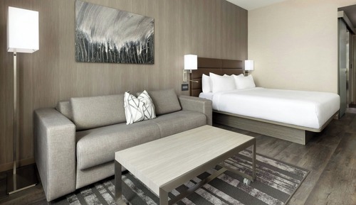 Room, 1 King Bed with Sofa bed
