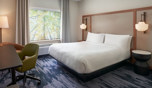 Room, 1 King Bed