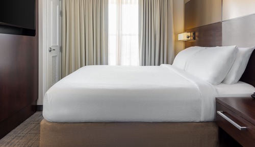 Suite, 1 King Bed with Sofa bed