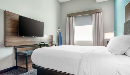 Suite, 1 King Bed, Non Smoking (Efficiency)