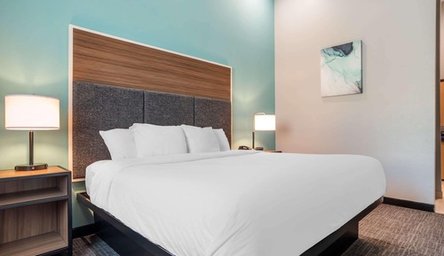 Standard Room, 1 King Bed, Non Smoking