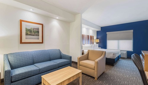 Suite, 1 King Bed, Non Smoking, Refrigerator & Microwave (with Sofabed)