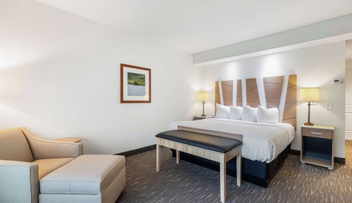 Standard Room, 1 King Bed, Accessible, Non Smoking (No Pets)