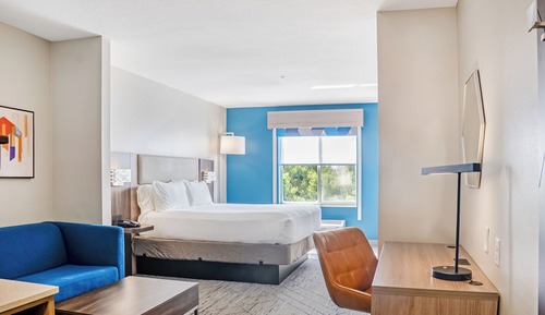 Suite, 1 King Bed with Sofa bed, Accessible (Comm, Mobil, Tub)