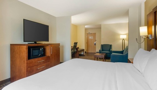 Suite, 1 King Bed with Sofa bed, Accessible, Non Smoking