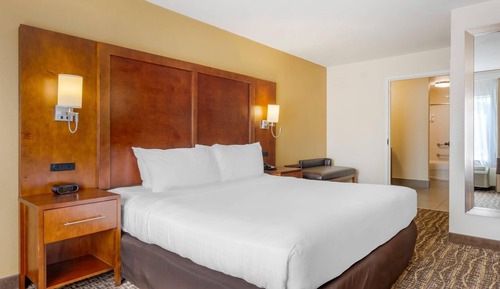 Executive Suite, 1 King Bed with Sofa bed, Non Smoking