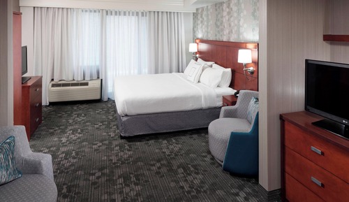 Room, 1 King Bed with Sofa bed