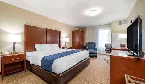 Room, 1 King Bed, Accessible, Non Smoking