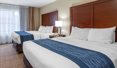 Studio Suite, Multiple Beds, Non Smoking