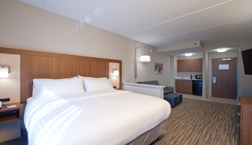 Suite, 1 King Bed