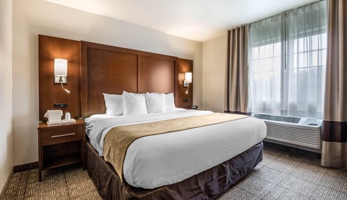 Suite, 1 King Bed with Sofa bed, Non Smoking