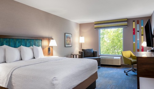 Room, 1 King Bed, Accessible (Mobility, Hearing, Roll-In Shower)