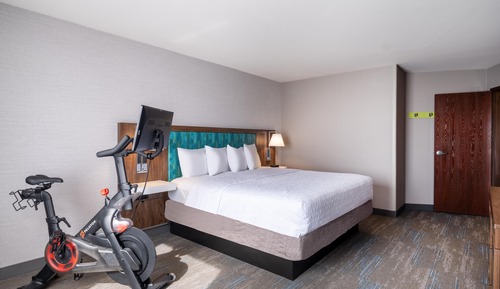 Suite, 1 King Bed