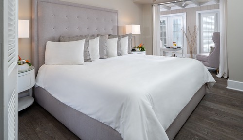 Premier Suite, 1 King Bed with Sofa bed, Patio, Garden Area (Room 16)