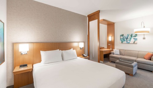 Room, 1 King Bed with Sofa bed, Accessible, Bathtub