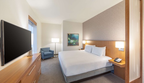 Room, 1 King Bed with Sofa bed (Specialty)
