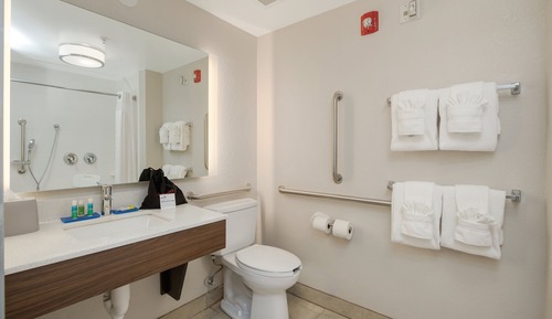 Standard Room, 1 King Bed, Accessible (Communications, Roll-In Shower)