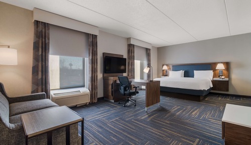 Suite, 1 King Bed with Sofa bed