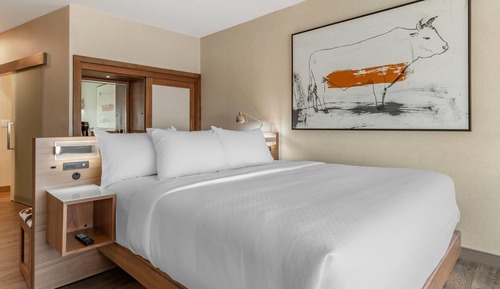Standard Room, 1 King Bed, Non Smoking