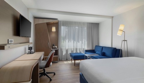 Room, 1 King Bed with Sofa bed