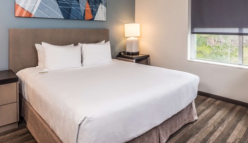 Suite, 1 Bedroom (1 King Bed & Sofa Bed)