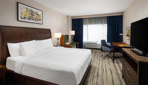 Room, 1 King Bed
