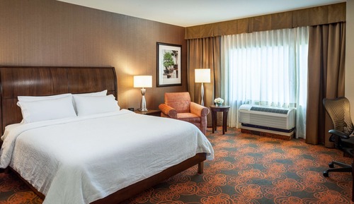Room, 1 King Bed, Accessible (Luxury Bathroom - 3x3 Shower)