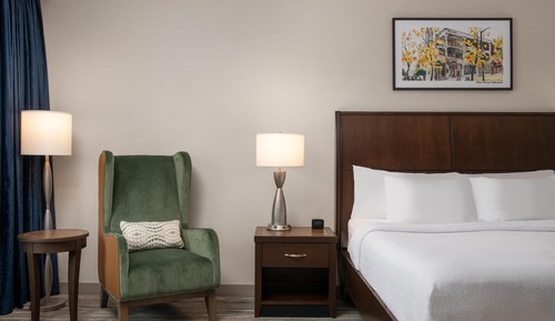 Room, 1 King Bed, Accessible (3x3 Shower)