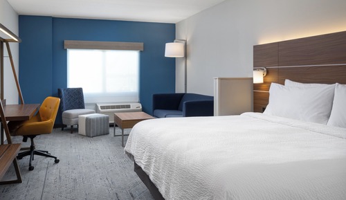 Suite, 1 King Bed with Sofa bed