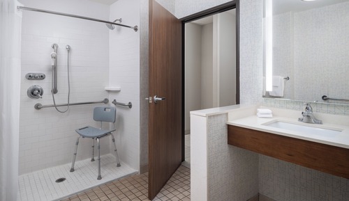 Standard Room, 1 King Bed, Accessible (Communications, Mobil, Roll-In Shower)