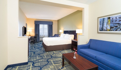 Standard Room, 1 King Bed with Sofa bed
