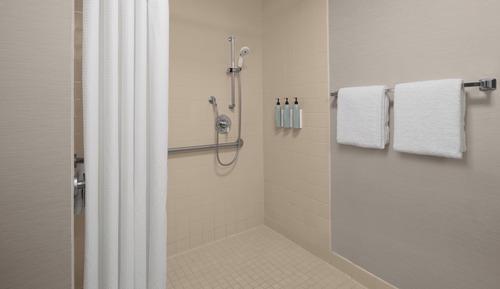 Room, 1 King Bed, Roll-in Shower (Roll-in Shower)