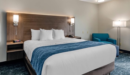 Room, 1 King Bed, Non Smoking